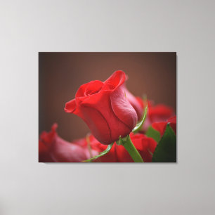 Lienzo de pared estirado