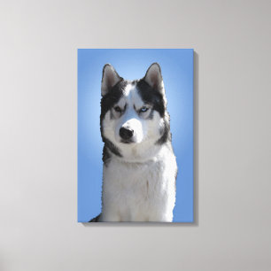 Lienzo de perro Husky Malamute estirado con impres