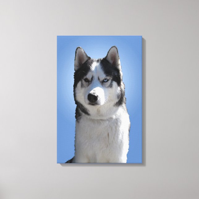 Lienzo de perro Husky Malamute estirado con impres (Anverso)