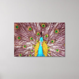 lienzo de plumas de pavo real