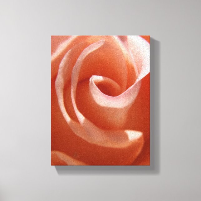 Lienzo de Rosa de color (Anverso)