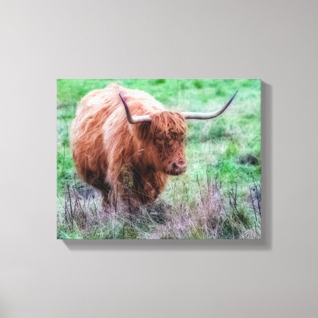 Lienzo de vaca Highland de Escocia (Anverso)