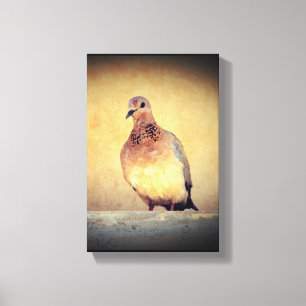 Lienzo Debonair Dove