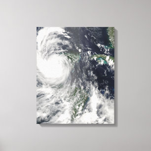 Lienzo Decano del huracán