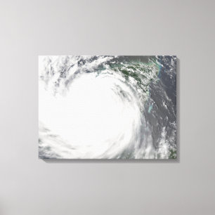 Lienzo Decano del huracán