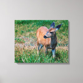 Lienzo Deer -
