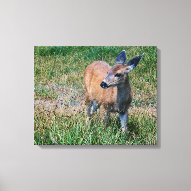 Lienzo Deer - (Anverso)