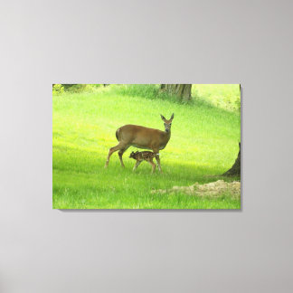 Lienzo Deer blanco (Doe) y Fawn