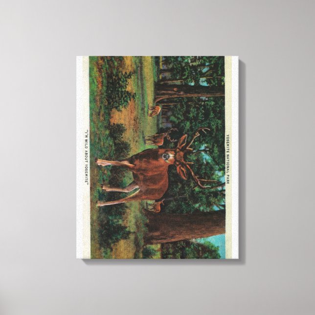 Lienzo Deer Buck en el Parque Nacional Yosemite (Anverso)