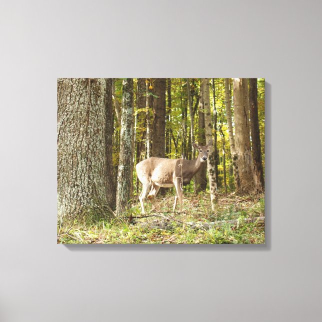 Lienzo Deer Me (Anverso)