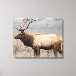 Lienzo Deer Stag Animals Wildlife Nature Buck