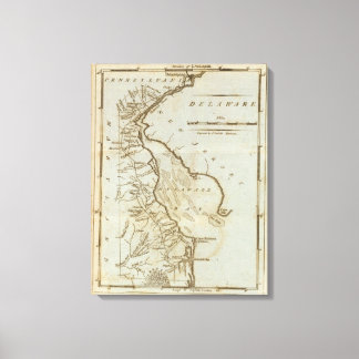 Lienzo Delaware 6