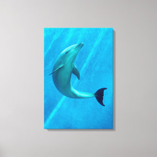 Lienzo Delfín
