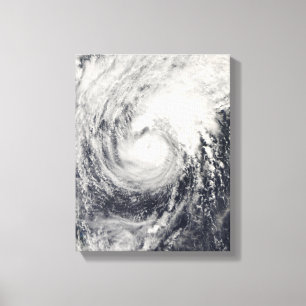 Lienzo Delfín del tifón en el mar filipino