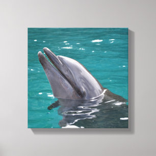 Lienzo Delfín en verde