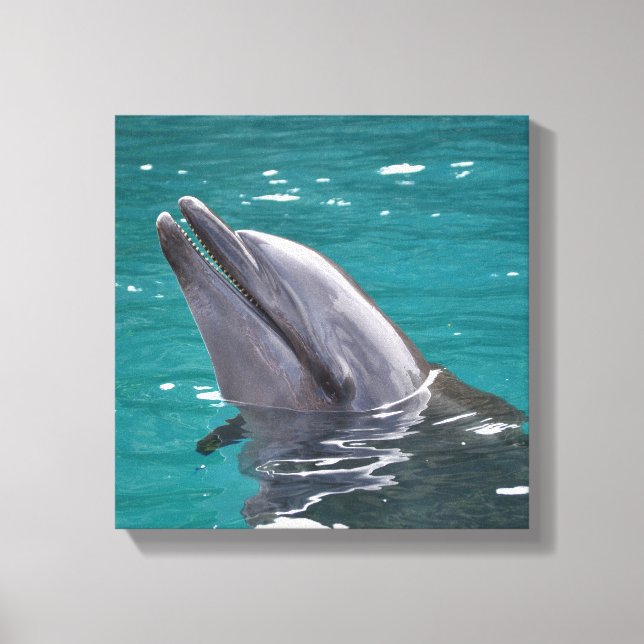 Lienzo Delfín en verde (Anverso)