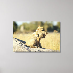 Lienzo Delta de Okavango, Botswana