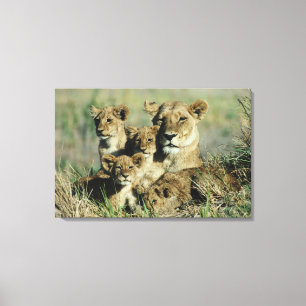 Lienzo Delta de Okavango, Botswana 2