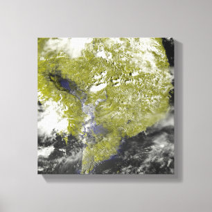 Lienzo Delta del Mekong y la savia de Tonle