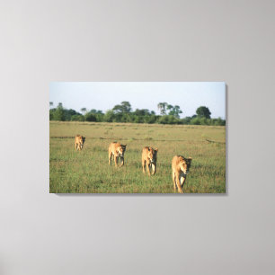 Lienzo Delta del Okavango, Botsuana 4