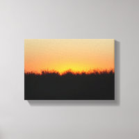 Delta Sunset