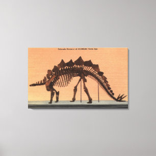 Lienzo Denver, Colorado - museo de la historia natural