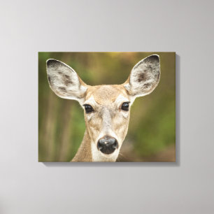 Lienzo Depósito de cola blanca