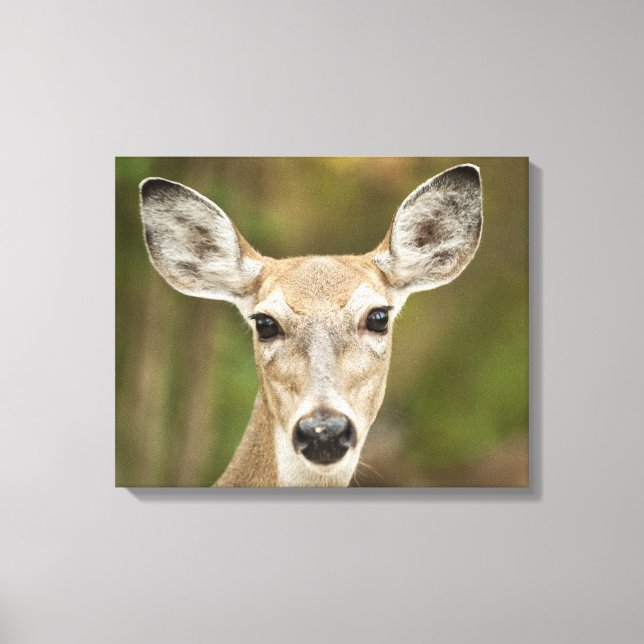 Lienzo Depósito de cola blanca (Anverso)