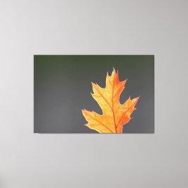 Lienzo ¡Der Herbst von seiner schönsten Seite!