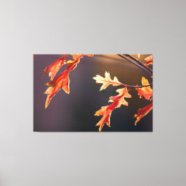 Lienzo ¡Der Herbst von seiner schönsten Seite!