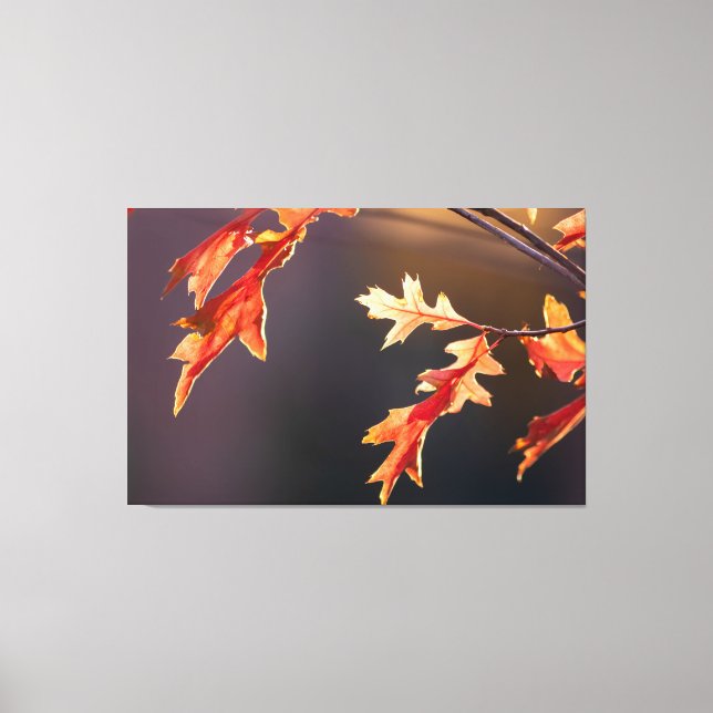 Lienzo ¡Der Herbst von seiner schönsten Seite! (Anverso)