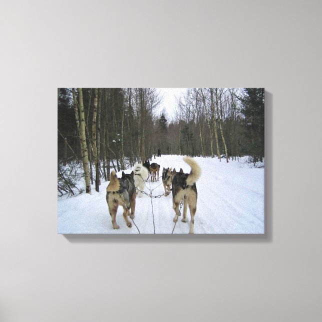 Lienzo Derrame de perro en Quebec, Canadá (Anverso)