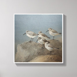 Lienzo Descanso de Sanderlings #2 Pintura de Ezartesa