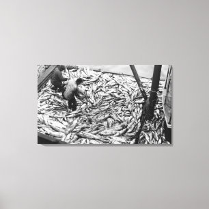 Lienzo Descarga de salmones de la fotografía de los