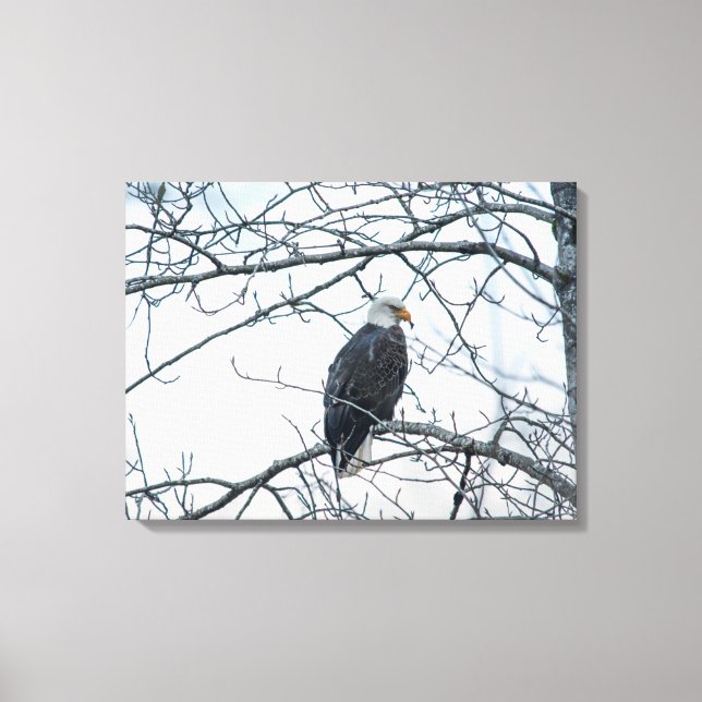 Lienzo Descontento (Anverso)