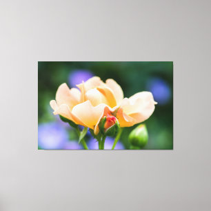 Lienzo deseo de desarrollo