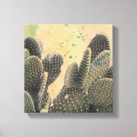 Desert Cactus | Placa verde
