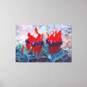 Lienzo DESERT PEA 32x48