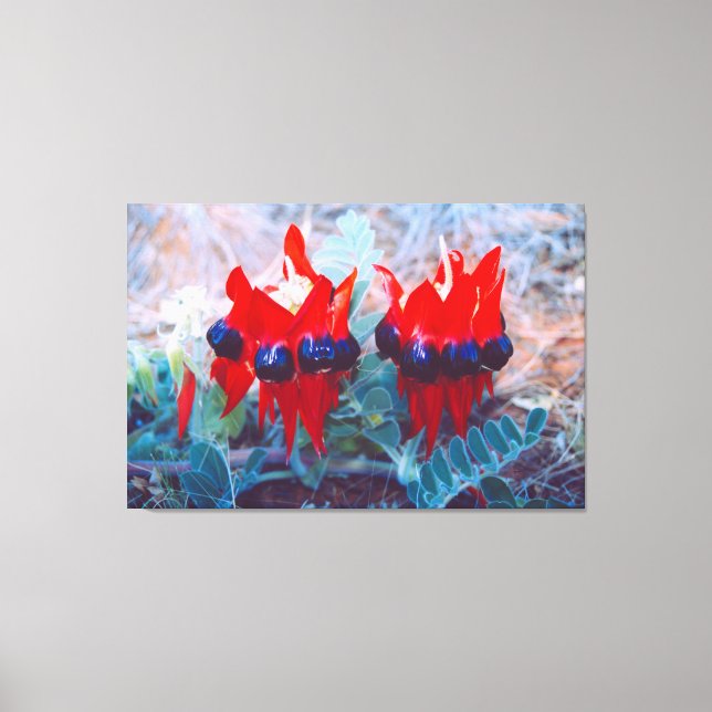 Lienzo DESERT PEA 32x48 (Anverso)