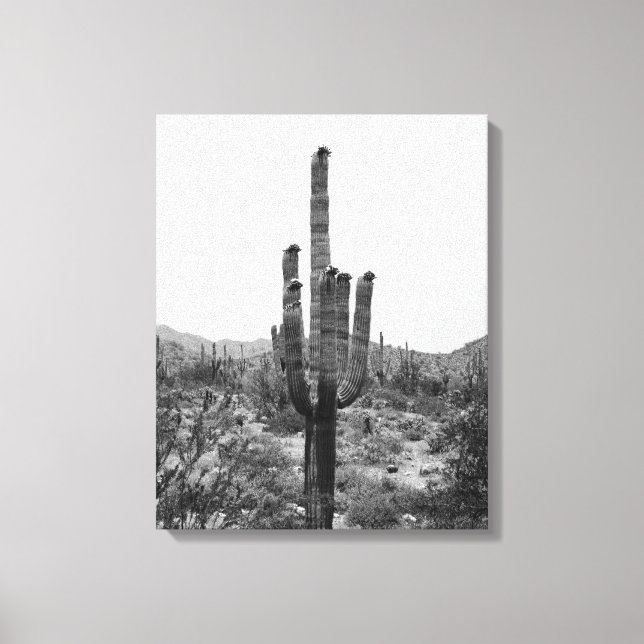 Lienzo Desierto blanco y negro Saguaro Cactus 16x20 (Anverso)