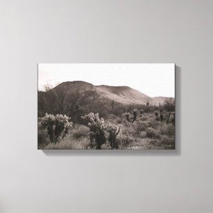 Lienzo Desierto Cacti Jumping Cholla B&W Fotografías de a