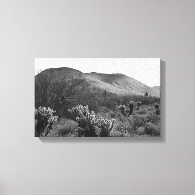 Lienzo Desierto Cacti Jumping Cholla B&W Fotografías de a (Anverso)