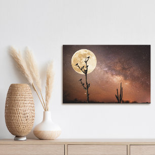 Lienzo Desiertos   Cactus de Saguaro con aves en el desie