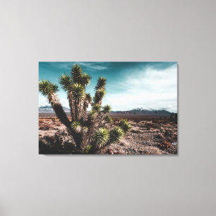 Lienzo Desiertos   Cholla Cactus