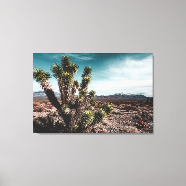 Lienzo Desiertos | Cholla Cactus (Anverso)