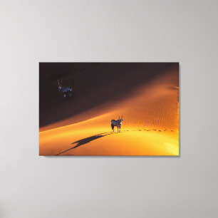 Lienzo Desiertos   Parque nacional Namib Naukluft - Kenya