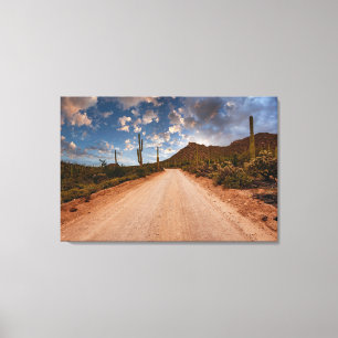 Lienzo Desiertos   Parque nacional Saguaro Arizona