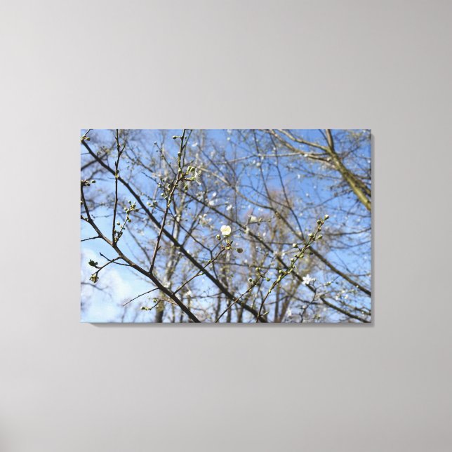 Lienzo Despertar de primavera (Anverso)