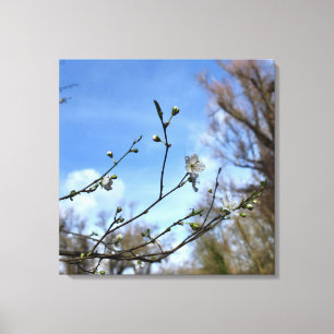 Lienzo Despertar de primavera