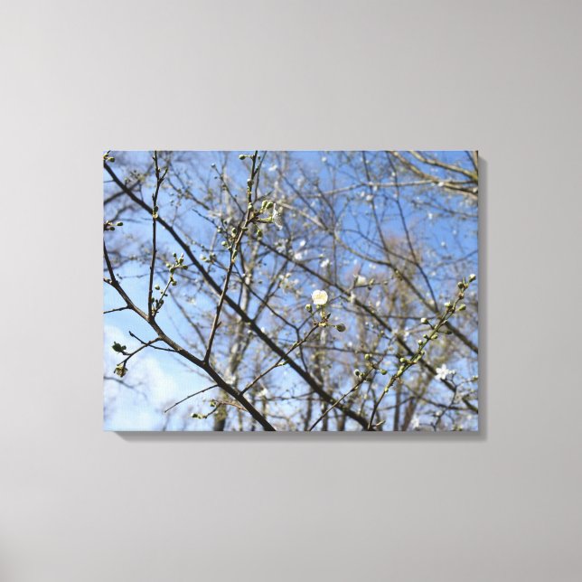 Lienzo Despertar de primavera (Anverso)